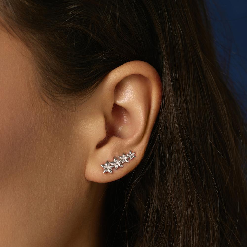 Серебряные серьги Арина 3А1041682-01250-2S